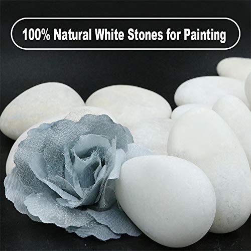 20 Natural White Rocks for Painting - 2"-3.5" Smooth Flat Craft Stones