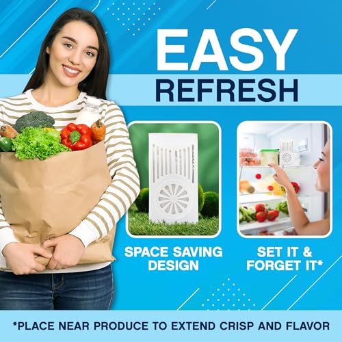 Refrigerator Deodorizer Odor Eliminator 2 Pack Activated Charcoal