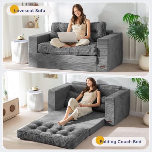 Convertible Folding Sofa Bed with Pillows, 2-Person Sleeper Loveseat