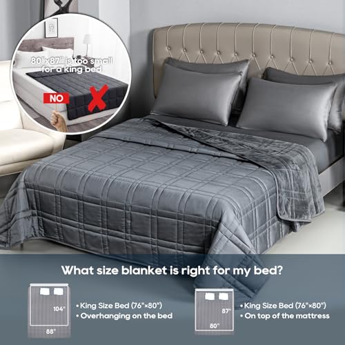 King Size Weighted Blanket 20lbs, Reversible Cooling Tencel & Warm Plush