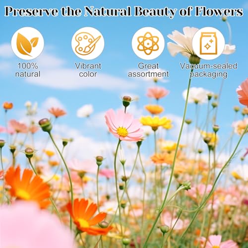318 PCS Dried Pressed Flowers and Butterfly Stickers Set for DIY Crafts