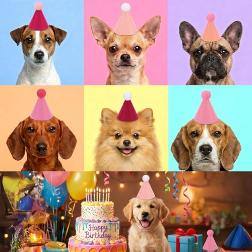 Mini Party Hats for Stuffed Animals and Pets - Colorful Felt Cone Hat