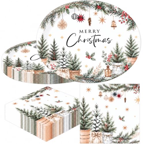 Xmas 50-Piece Oval Plates & Napkins Set, 12" Dinner Plates + 6.5" Napkins, Boho Christmas Tree Design, Recyclable