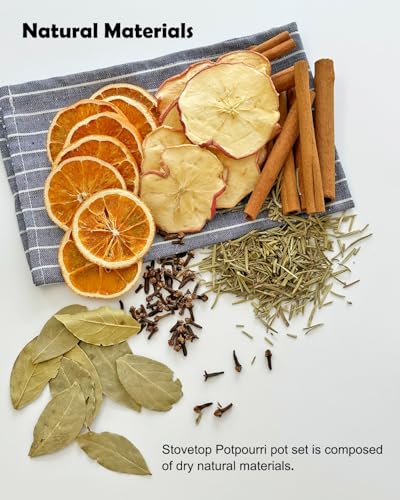 Natural Christmas Stovetop Potpourri Set with Dried Fruit and Spices