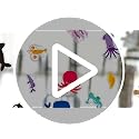 31 Animal Gel Clings - Removable & Reusable Window Stickers