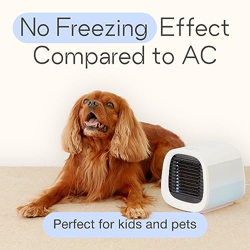 Portable Personal Air Conditioner 3-in-1 Evaporative Cooler and Fan