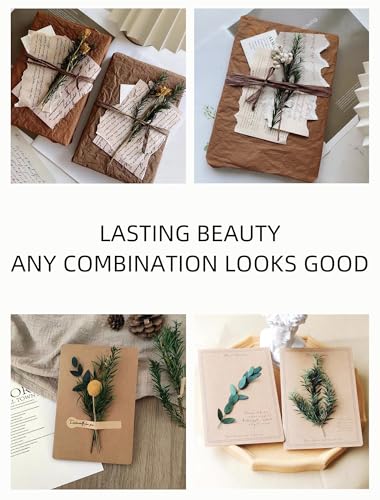 Natural Dried Flowers Bouquet Set (12 Kinds) for DIY Crafts & Vase Decor
