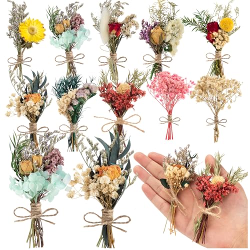10 Pcs Natural Dried Flowers Bouquet for DIY Crafts and Home Decor