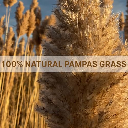 22pcs Natural Dried Pampas Grass Bouquet - 17-Inch Fluffy Boho Decor