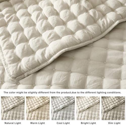 WDCOZY Beige Queen Size Quilt Bedding Set, 3-Piece Lightweight Soft Coverlet