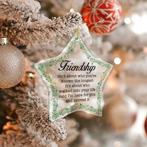 Mukjyuyi Friendship Ornament - Bestie BFF Soul Sister Acrylic Christmas Keepsake - Friend 3