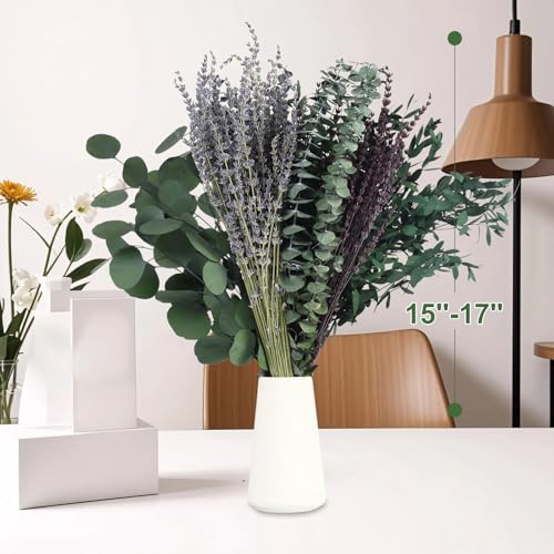 120 Pcs Preserved Dried Eucalyptus Stems & Lavender Flowers for Shower & Decor