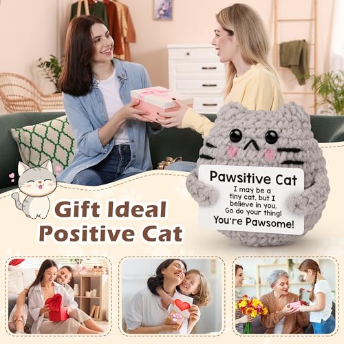 Mini Crochet Cat Affirmation Gift with Motivational Card for Desk Decor