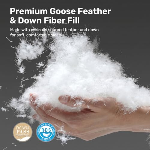 Queen All Season Goose Feather Down Fiber Comforter, Pink (88" x 88")