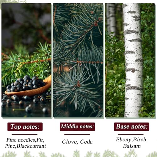 Bornerwhite 24 Pcs Burgundy Velvet Scented Christmas Balls 2.36 Inch - Flocked Holiday Ornaments for Xmas Tree & Decor