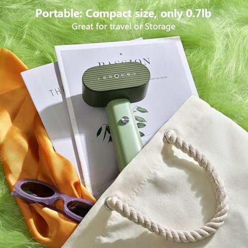 Nexdoo G6 Portable 2-in-1 Clothes Steamer & Iron, 900W Lightweight Travel Garment Steamer, Green