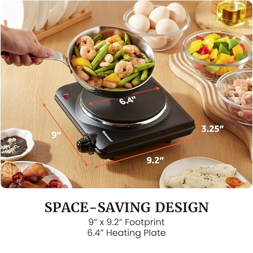 1000W Portable Electric Single Burner Hot Plate with Cast Iron Cooktop