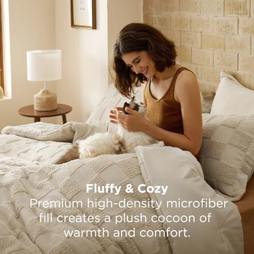 Queen Comforter Set Beige Boho Farmhouse Checkered Bedding, 3 Pieces