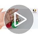 8-Inch Christmas Ornament Snap Hanger Strings - 604 Pack (4 Colors)