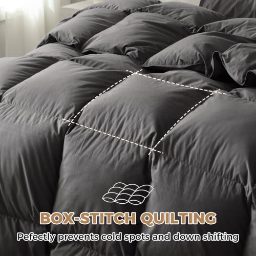 Organic Cotton Down Comforter Queen Size | 750+ Fill Power, Gray