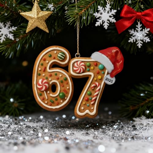MYSQIHO 3-Pack 67 Meme Funny Christmas Ornaments - Santa Acrylic Decorations for Tree (Variation C)
