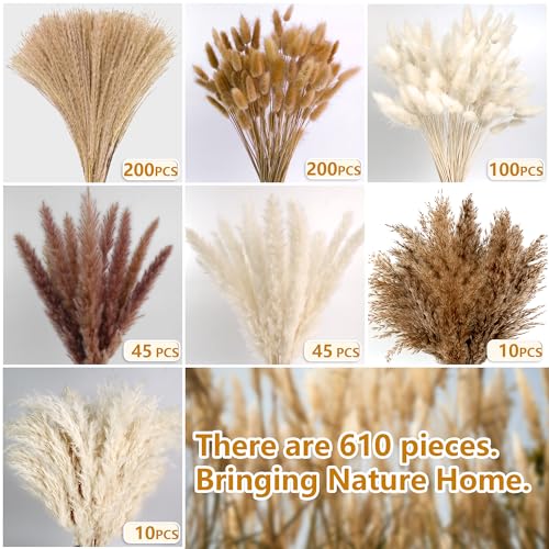 610 Pcs Dried Pampas Grass Decor & Dried Flower Bouquet Set for Boho Home
