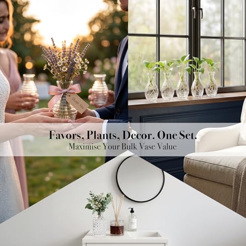 20-Piece Clear Glass Bud Vase Set - Small Vintage Vases for Centerpieces