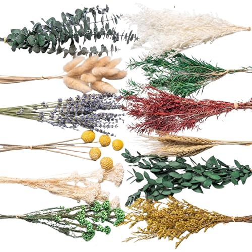 12-Variety Natural Dried Flower DIY Kit, 10-12 Inch Floral Decor