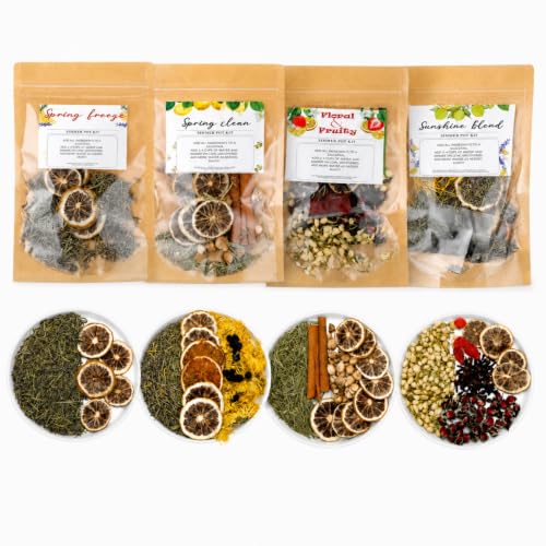 Natural Stovetop Potpourri Kit - 4 Set Holiday Simmer Pot with Dried Botanicals