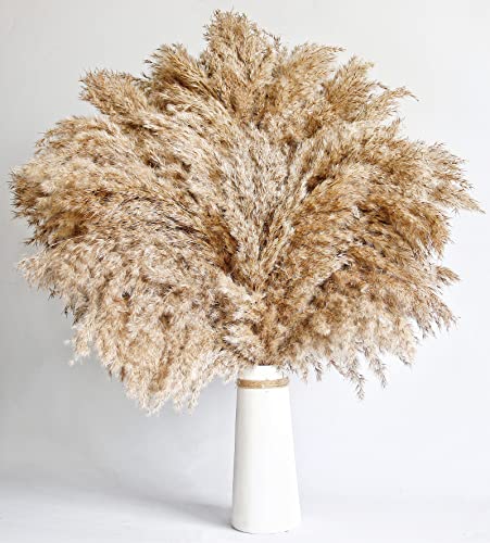 Natural Dried Pampas Grass Decor (60 Pcs, 17 Inch) - Fluffy Boho Room Decor
