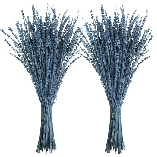 16-Inch Preserved Dried Lavender Flower Bundles, 100g Blue Bouquet
