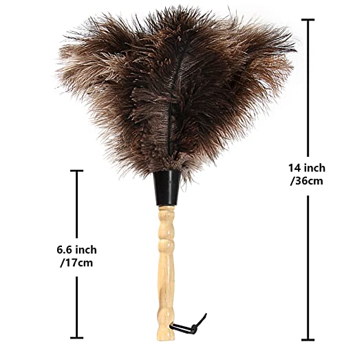 14-Inch Natural Ostrich Feather Duster with Wooden Handle & Hanging Loop