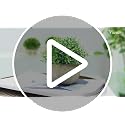 Artificial Boxwood Topiary Potted Plant for Home and Office Decor
