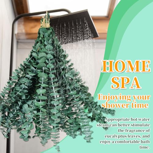 21-Piece Preserved Eucalyptus Stems, 17-Inch Natural Greenery for Decor