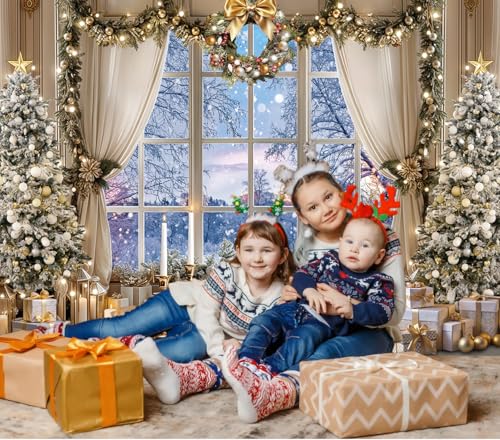JSHENGZHYI 10x8FT Christmas Window Backdrop White Winter Snow Forest Scene Photo Background