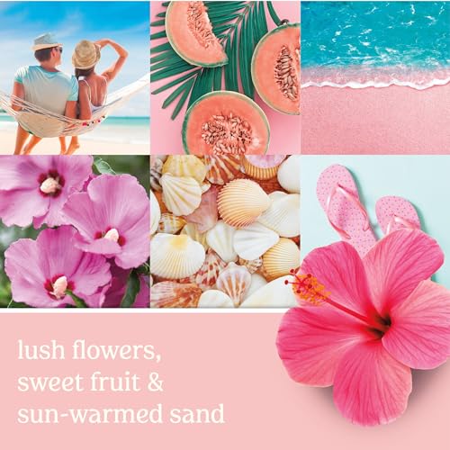 Concentrated Room Spray Air Freshener, Pink Sands Scent, 1.5 Oz (Pack of 3)