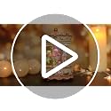 Rotating Carousel Music Box with Color Lights and Horses, Gift Wrapped