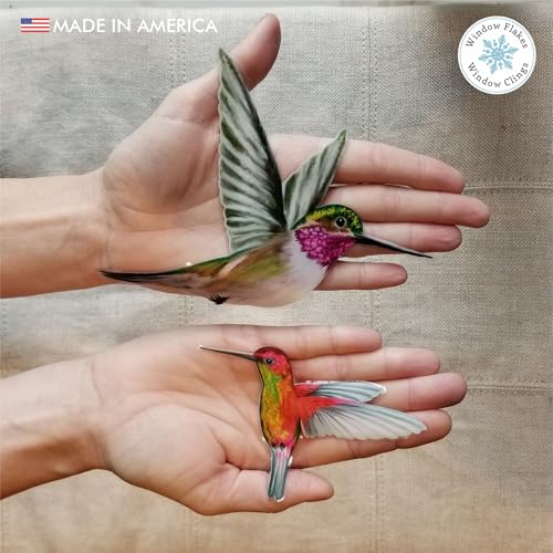 Hummingbird Window Clings - 4-Pack Bird Strike Prevention
