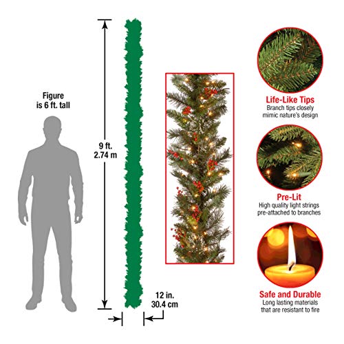 National Tree Company 9ft Pre-Lit Wintry Pine Flocked Christmas Garland - Indoor/Outdoor Decor