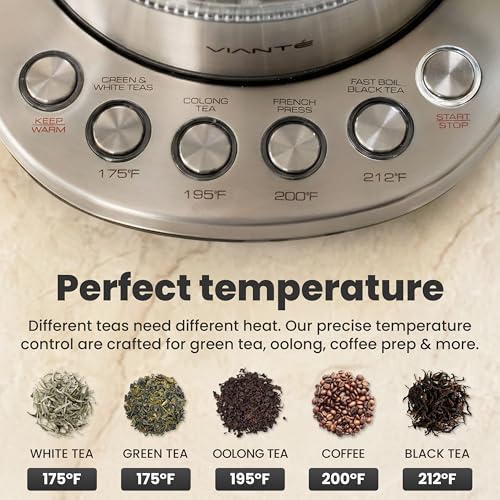 1.5L Electric Tea Kettle with Infuser, Glass & Stainless Steel, No Plastic