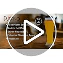 Nucleated Pilsner Beer Glasses - 16 oz Craft Beer Glass Set, 4 Pack