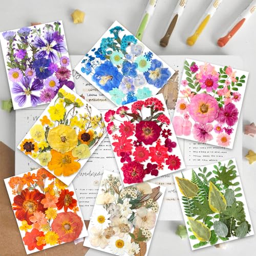 269 Pcs Dried Pressed Flowers Set with Butterfly Stickers for Resin Crafts