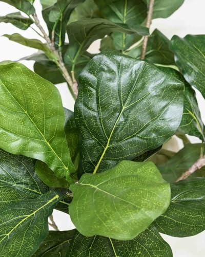 6FT Artificial Fiddle Leaf Fig Tree in White Planter - Faux Ficus Lyrata for Indoor Decor