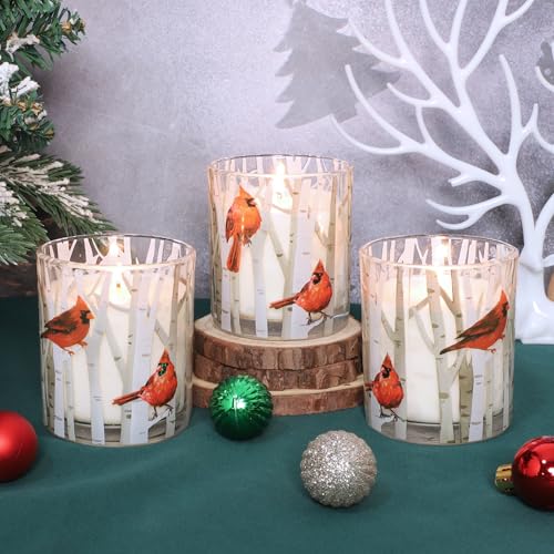 Crystal Club 6.5oz Christmas Berry Soy Wax Candle with Glass Jar