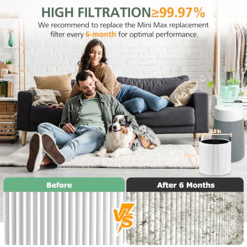 Replacement Air Purifier Filter 2-in-1 Activated Carbon 2 Pack