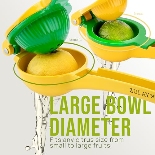 2-in-1 Manual Metal Citrus Squeezer & Hand Juicer for Lemon and Lime