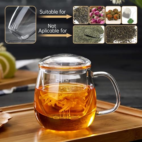 DOPUDO Glass Tea Cup with Infuser & Lid 17.6oz - Borosilicate Mug for Loose Leaf Tea, Microwave & Dishwasher Safe