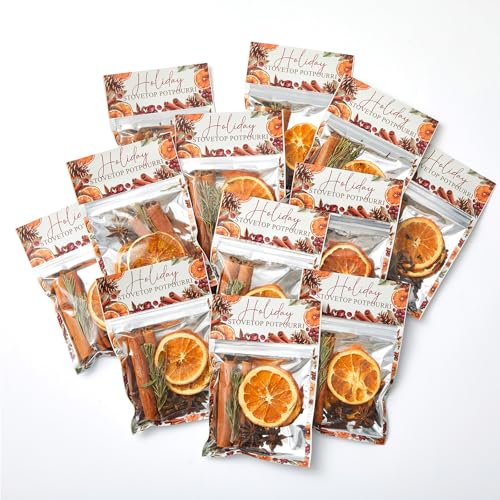 2 Pcs Christmas Simmer Pot Stovetop Potpourri 30G Orange Spice