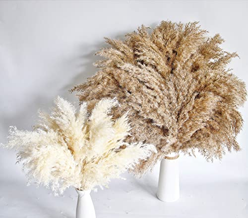 Natural Dried Pampas Grass Decor (60 Pcs, 17 Inch) - Fluffy Boho Room Decor