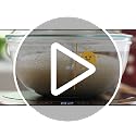 Sourdough Starter Warmer with Temperature Probe and 24-Hour Timer